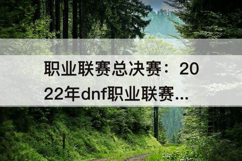 职业联赛总决赛：2022年dnf职业联赛总决赛
