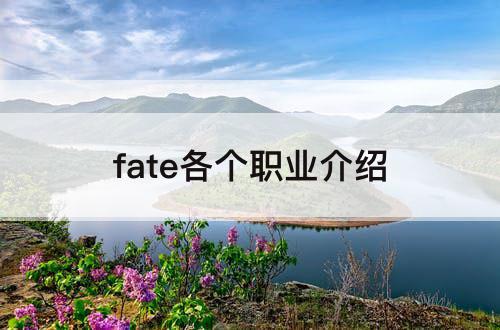 fate各个职业介绍