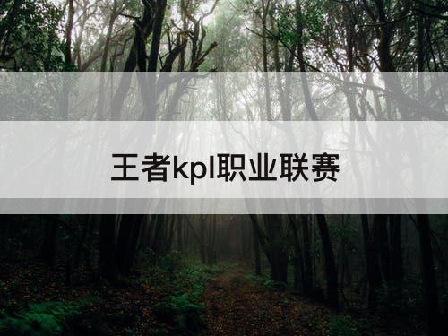 王者kpl职业联赛