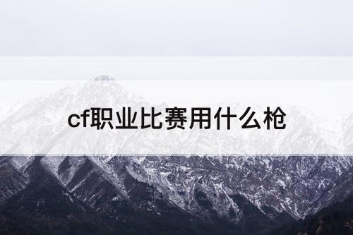 cf职业比赛用什么枪