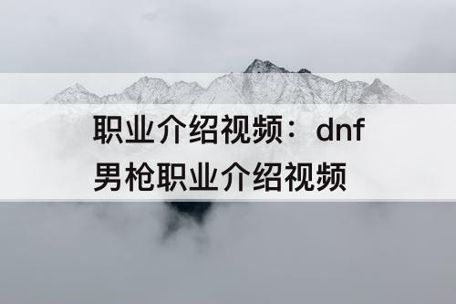 职业介绍视频：dnf男枪职业介绍视频
