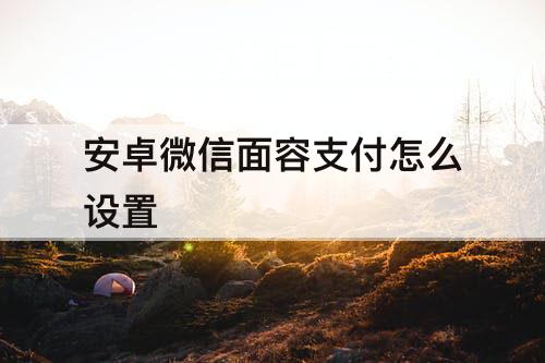安卓微信面容支付怎么设置