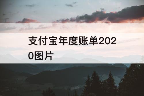 支付宝年度账单2020图片