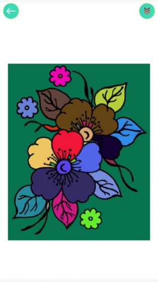 植物填色画画截图