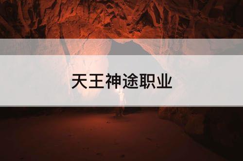 天王神途职业