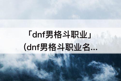 「dnf男格斗职业」(dnf男格斗职业名称)