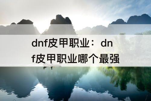 dnf皮甲职业：dnf皮甲职业哪个最强
