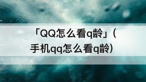 「QQ怎么看q龄」(手机qq怎么看q龄)