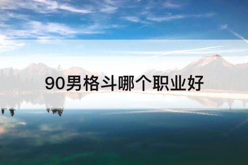 90男格斗哪个职业好