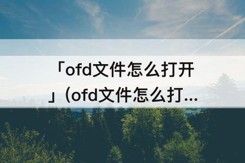 「ofd文件怎么打开」(ofd文件怎么打开 支付宝)