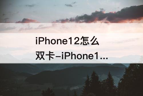 iPhone12怎么双卡-iPhone12怎么双卡微信