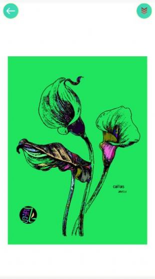 植物填色画画截图