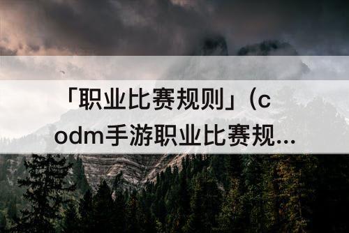 「职业比赛规则」(codm手游职业比赛规则)