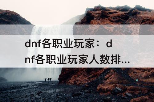 dnf各职业玩家：dnf各职业玩家人数排名
