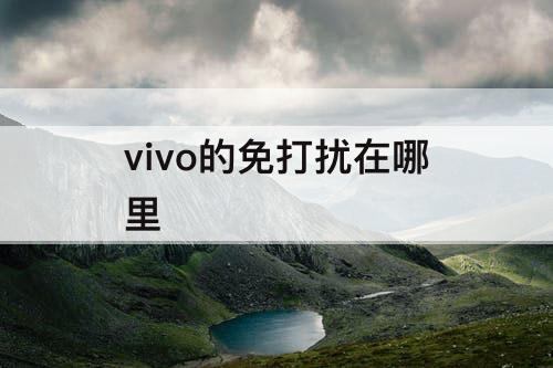vivo的免打扰在哪里