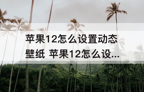 苹果12怎么设置动态壁纸 苹果12怎么设置动态壁纸视频