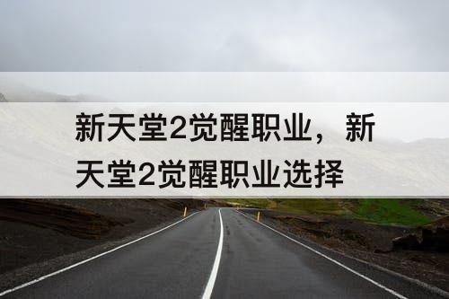新天堂2觉醒职业，新天堂2觉醒职业选择