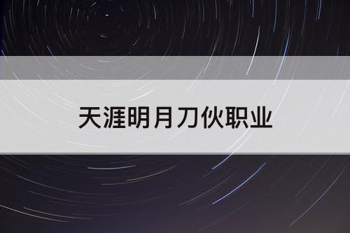 天涯明月刀伙职业