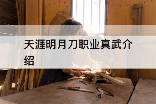 天涯明月刀职业真武介绍