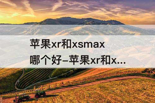 苹果xr和xsmax哪个好-苹果xr和xsmax哪个好拍照