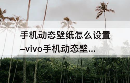 手机动态壁纸怎么设置-vivo手机动态壁纸怎么设置 抖音