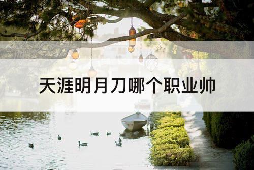 天涯明月刀哪个职业帅