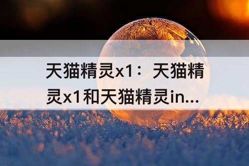 天猫精灵x1：天猫精灵x1和天猫精灵in糖
