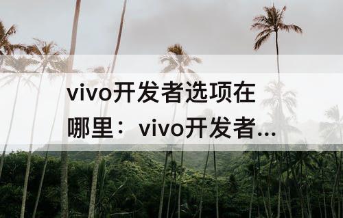 vivo开发者选项在哪里：vivo开发者选项在哪里设置