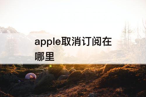 apple取消订阅在哪里