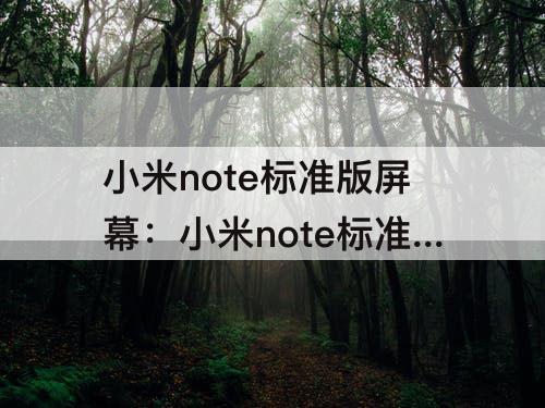 小米note标准版屏幕：小米note标准版屏幕峰值亮度