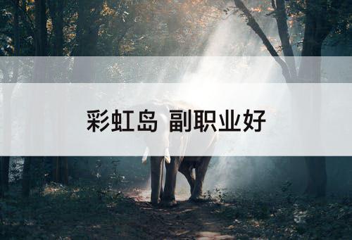 彩虹岛 副职业好