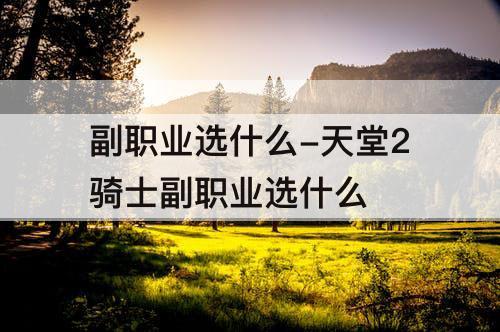 副职业选什么-天堂2骑士副职业选什么