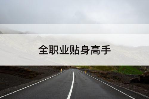 全职业贴身高手