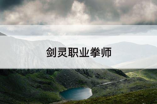 剑灵职业拳师