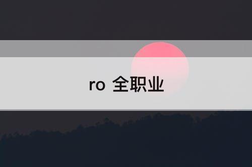 ro 全职业