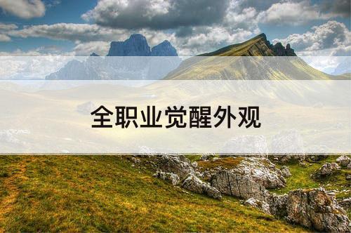 全职业觉醒外观