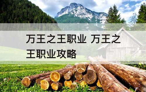 万王之王职业 万王之王职业攻略