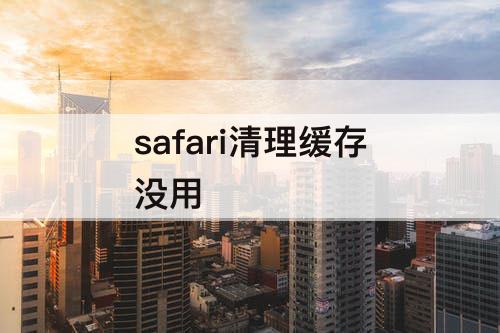 safari清理缓存没用
