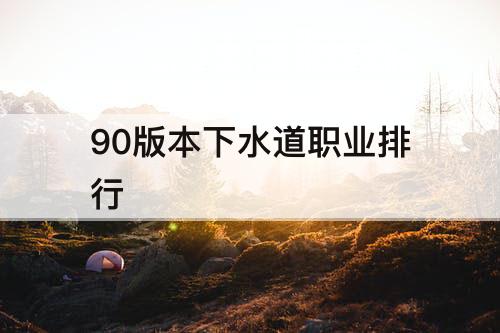 90版本下水道职业排行