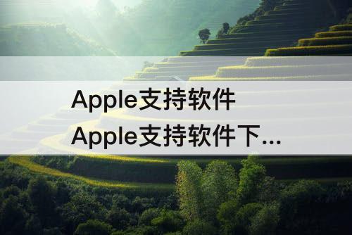 Apple支持软件 Apple支持软件下载