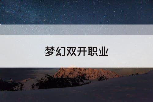 梦幻双开职业