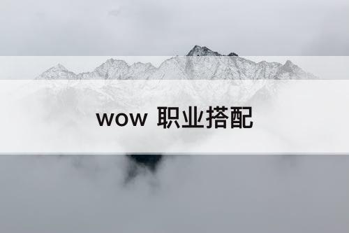 wow 职业搭配