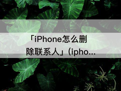 「iPhone怎么删除联系人」(iphone怎么删除联系人群组)