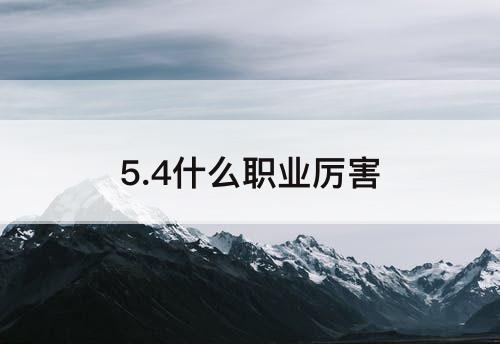 5.4什么职业厉害