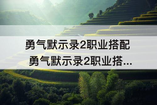 勇气默示录2职业搭配 勇气默示录2职业搭配后期