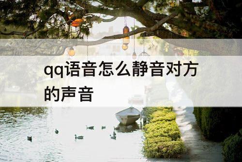 qq语音怎么静音对方的声音