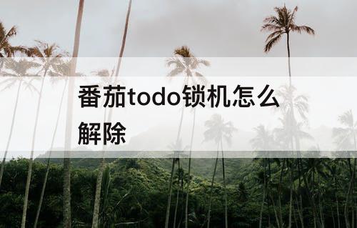 番茄todo锁机怎么解除