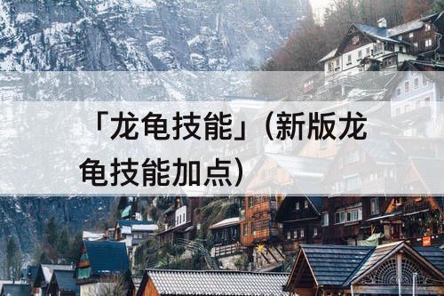 「龙龟技能」(新版龙龟技能加点)