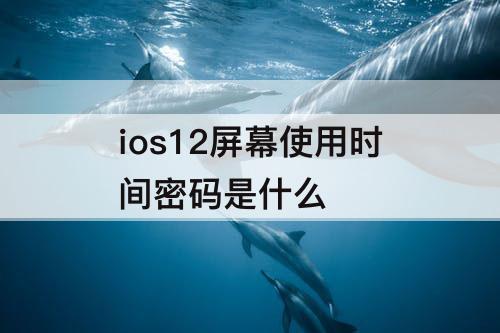 ios12屏幕使用时间密码是什么