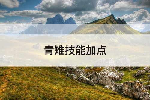 青雉技能加点